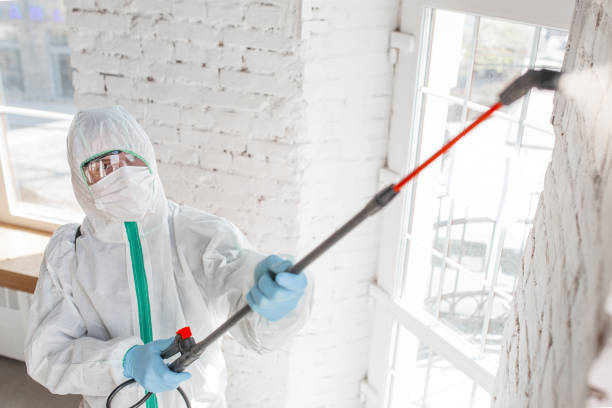 Dearborn, MI Mold Removal Company