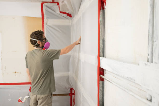 Best Mold Removal for HVAC Installations  in Dearborn, MI
