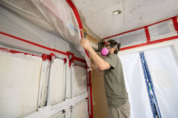 Best Industrial Mold Remediation  in Dearborn, MI
